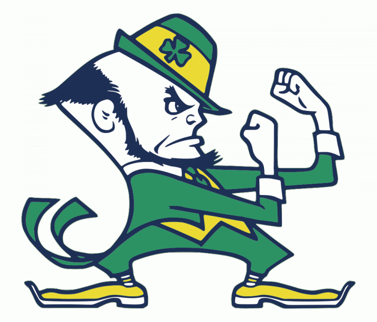 Notre Dame Fighting Irish 1984-Pres Alternate Logo iron on transfers for fabric